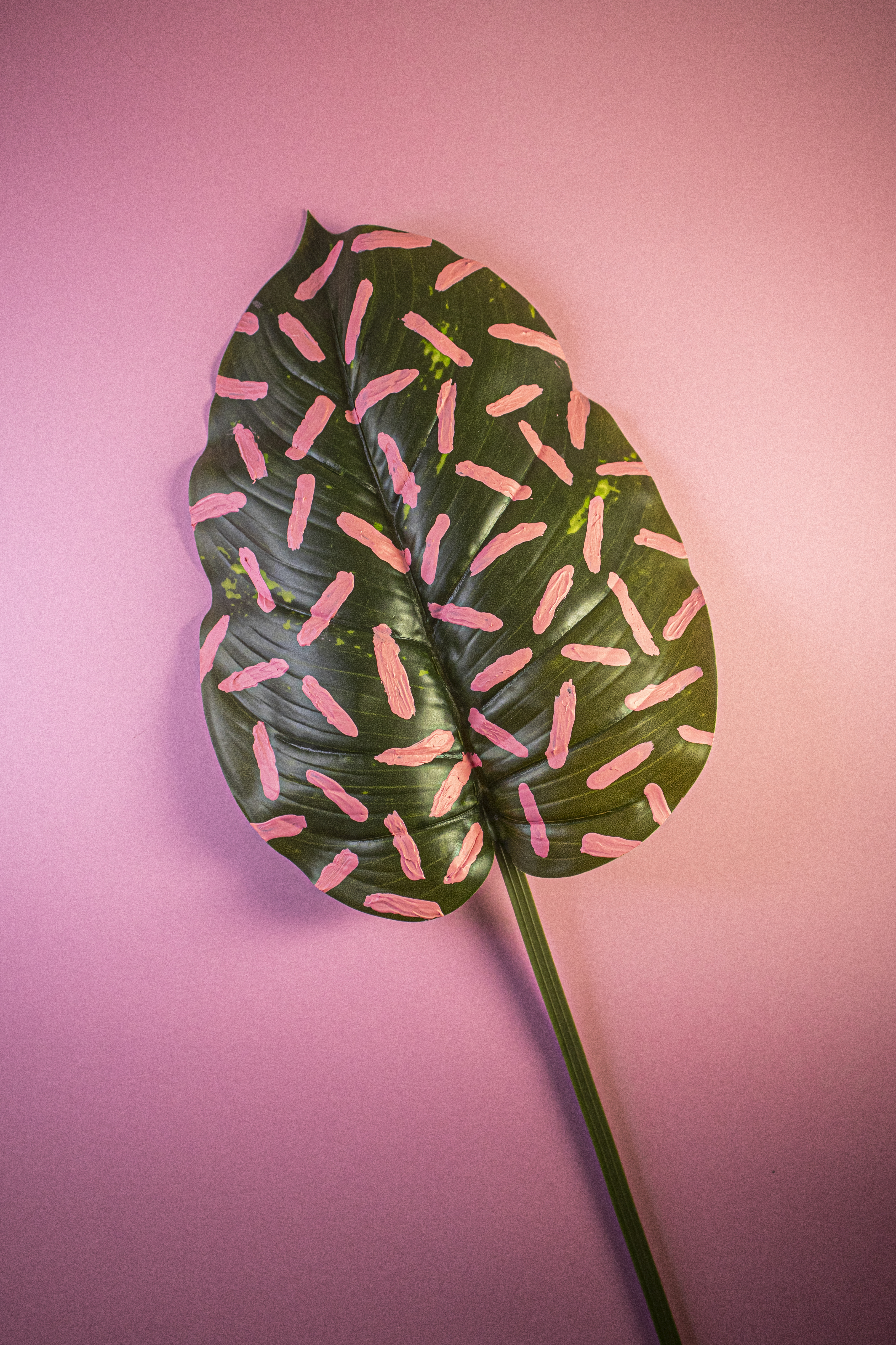 green leaf with pink lines of paint on leaf with pink background